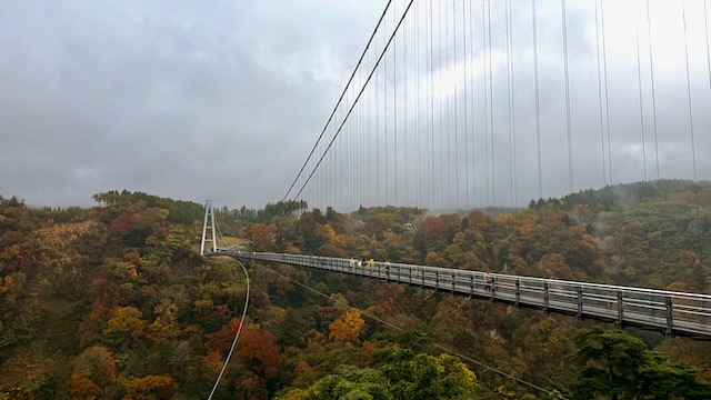 九重夢大橋楓紅