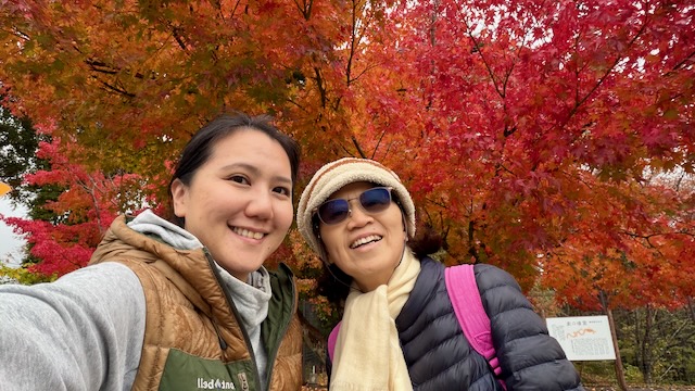 九重夢大橋楓紅