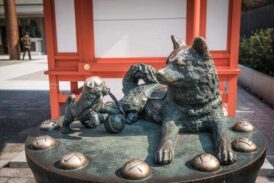 摸子寶犬祈求好孕也別忘了旁邊的12生肖幸運球