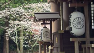 日本三大金運神社_安房神社