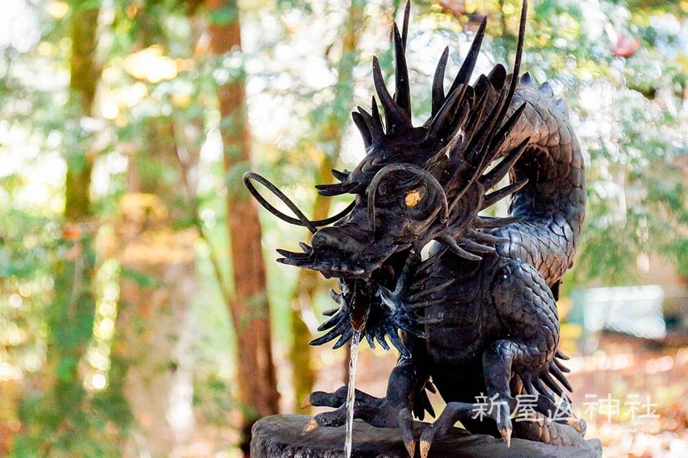 日本三大金運神社_新屋山神社炯炯有神的神龍御洗手台