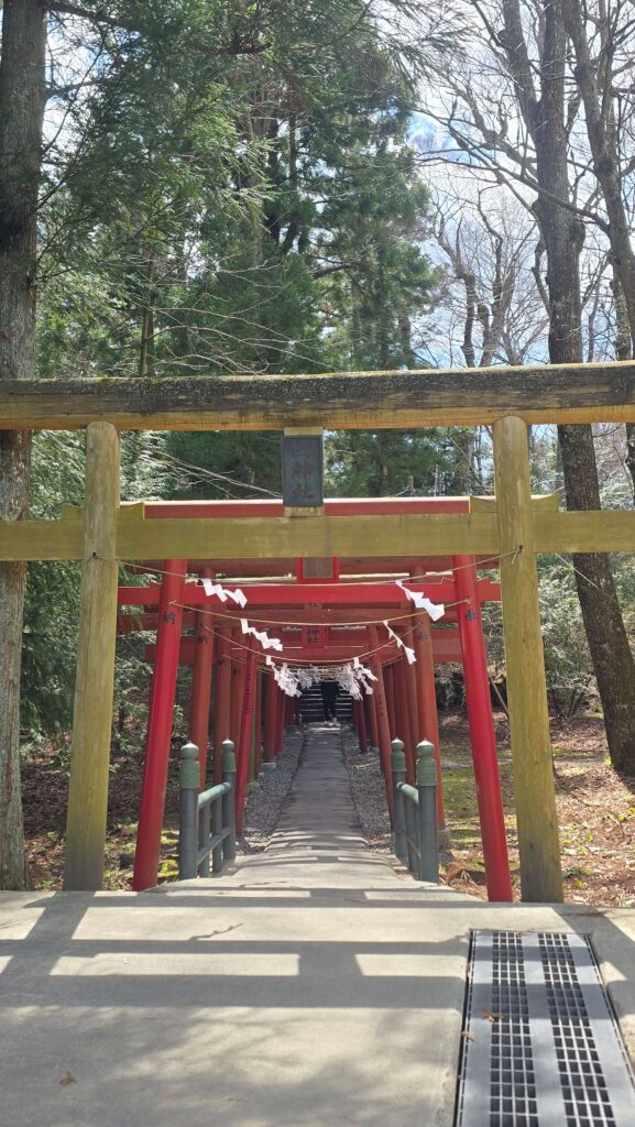日本三大金運神社_新屋山神社象徵超強金運的金色鳥居