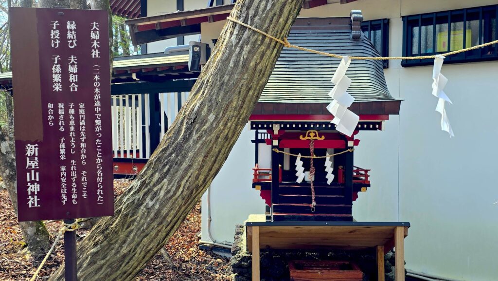 日本三大金運神社_新屋山神社祈求緣分、家庭子孫和夫妻和睦的夫妻木社
